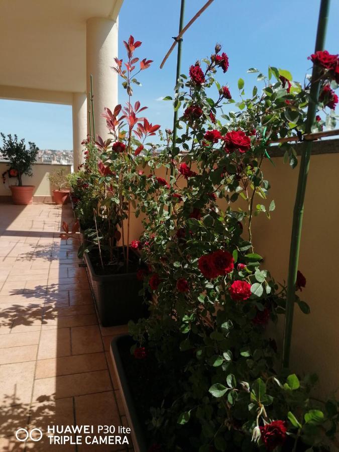 B&Byanet'S Beautiful House Civitavecchia Exterior foto